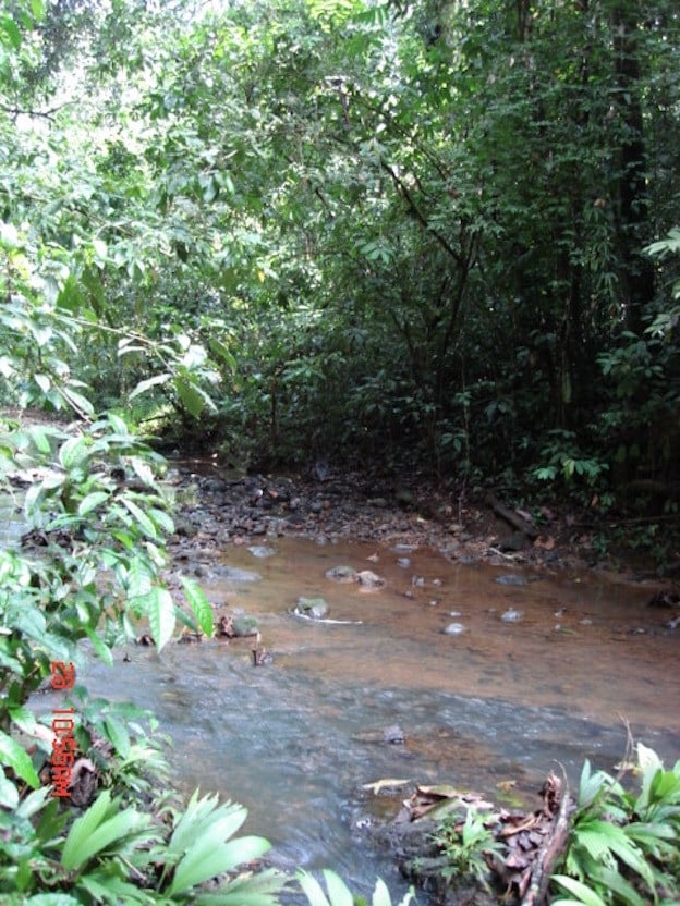 Prime Scenic Development Land, Manuel Antonio, Puntarenas