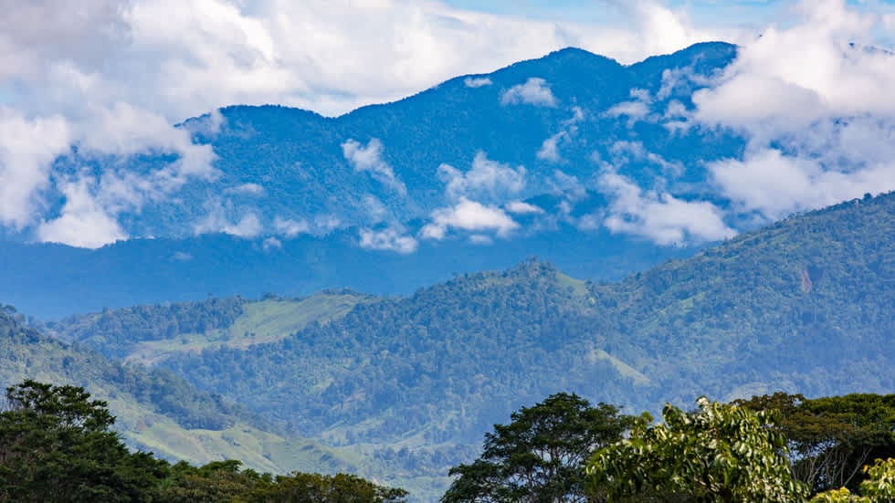 New Ocean View Community in Dominical Costa Rica