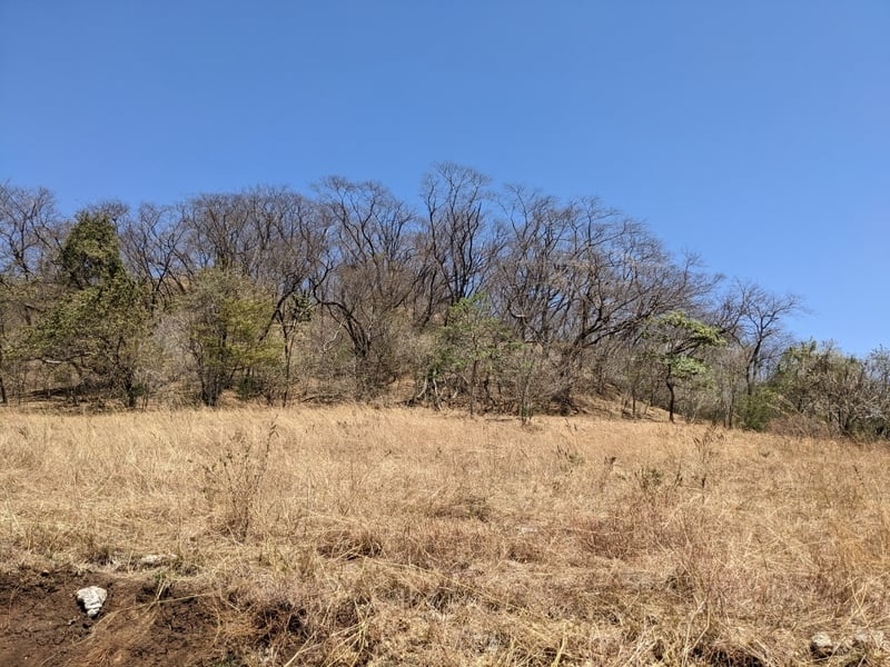 Ocean View Development Land, Tamarindo, Guanacaste