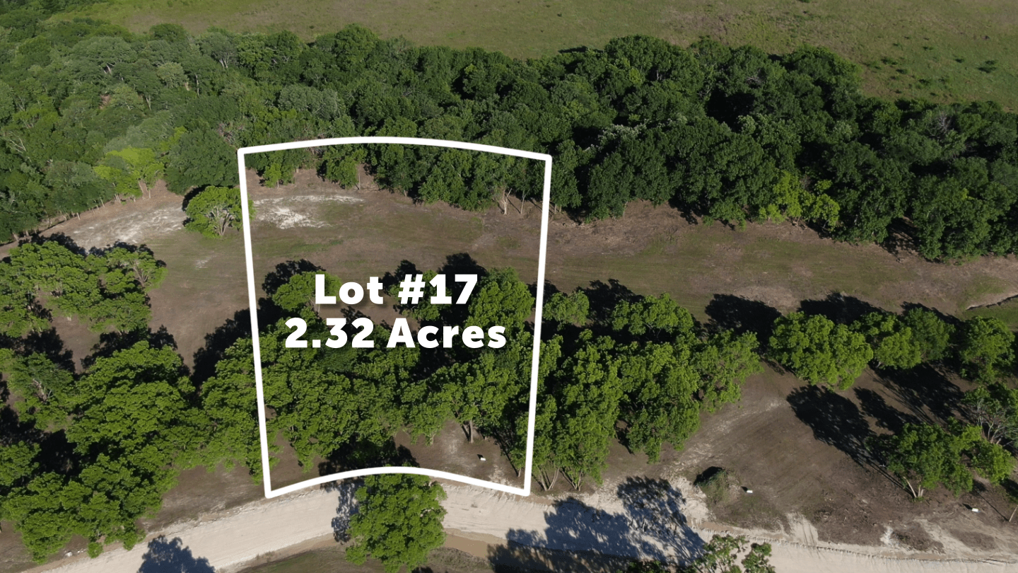 Lot 17