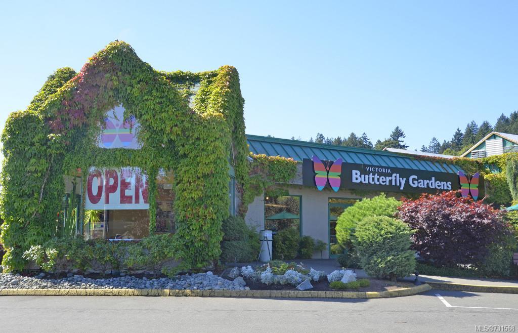 402-7111 West Saanich Rd, Central Saanich
