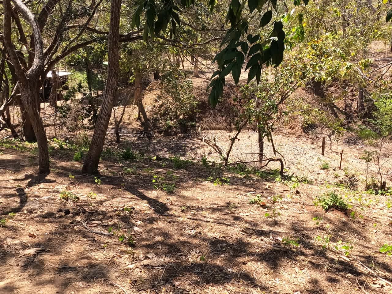 Land of your dreams | Large Lot with 2 Road Accesses
