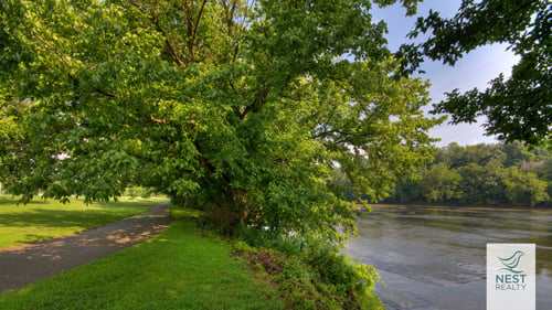 Nesty Zoom Backgrounds