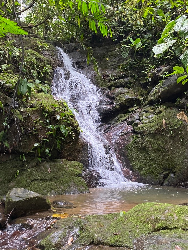 Ocean View Waterfall Land, Dominical, Puntarenas