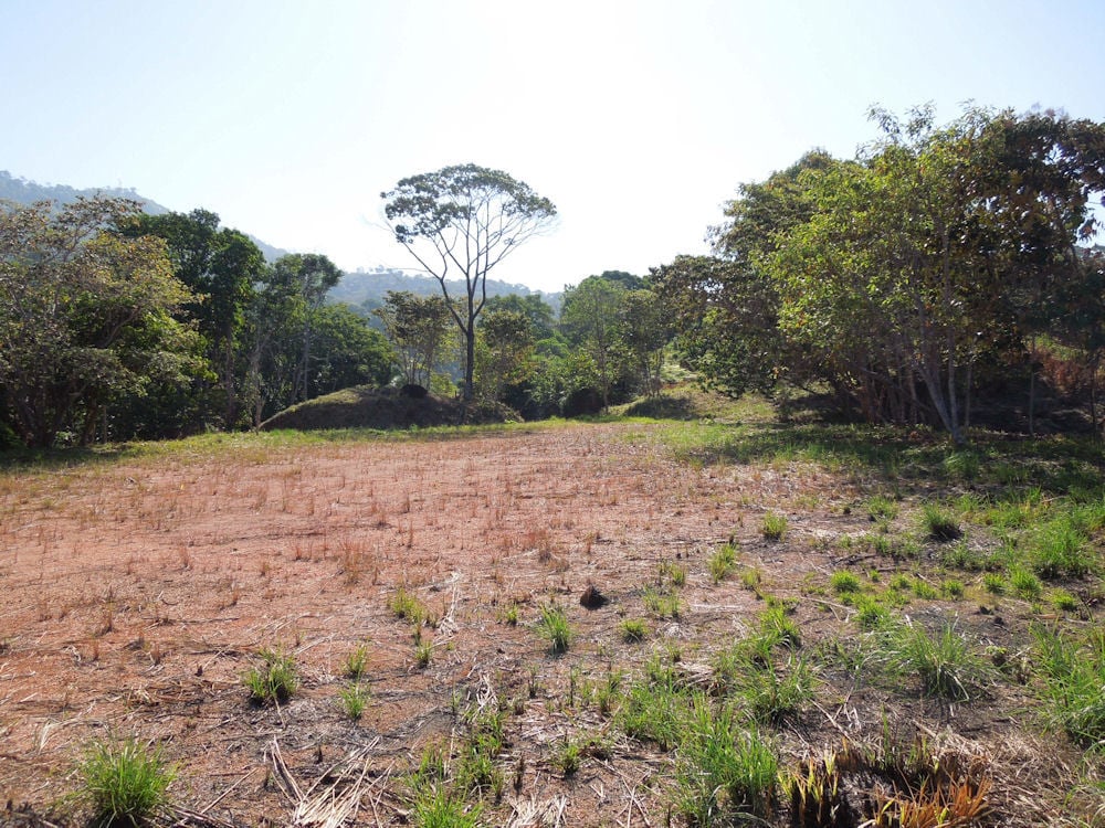 Coastal Development Acreage, Dominical, Puntarenas