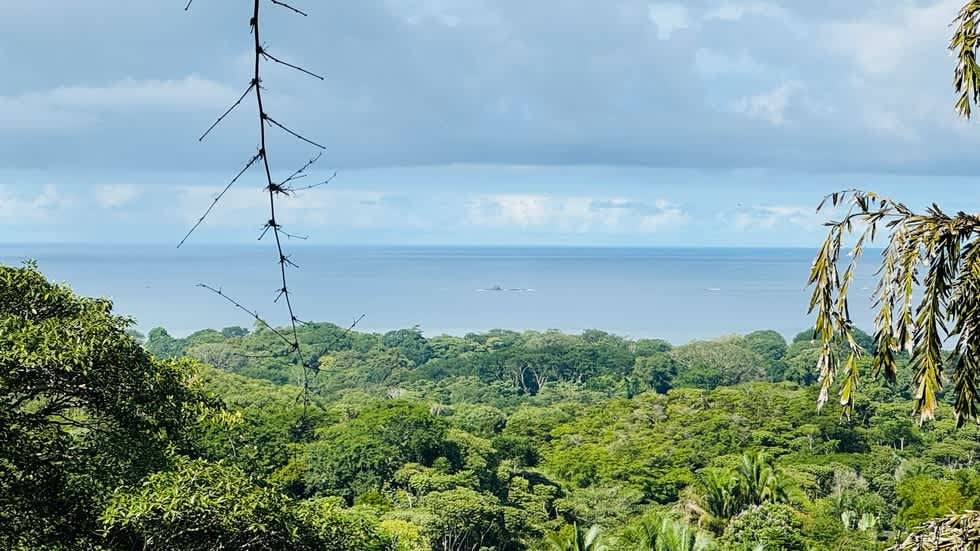 Tranquil Luxury Retreat with Stunning Ocean Views in Uvita