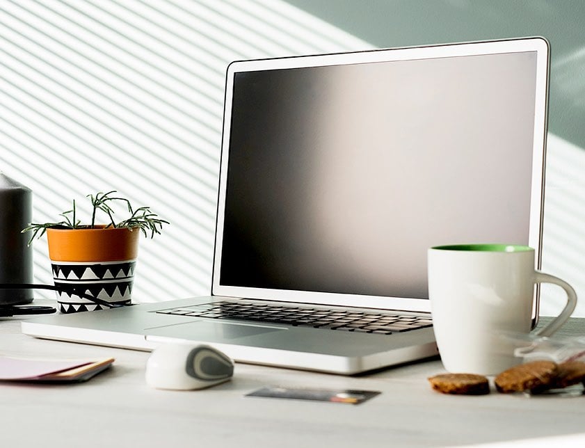 Sunlit home workspace with an open laptop, a white mug, and a small potted plant.