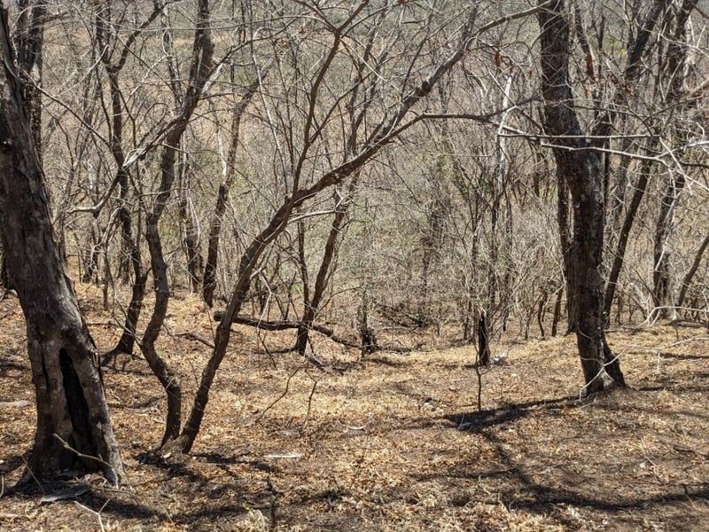 Ocean View Development Land, Tamarindo, Guanacaste