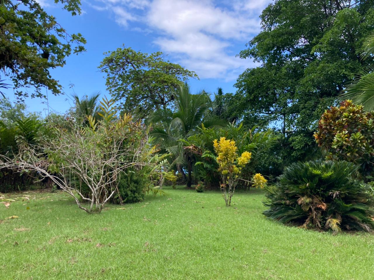  Eden Corcovado, Unique Beachfront from Paradise!