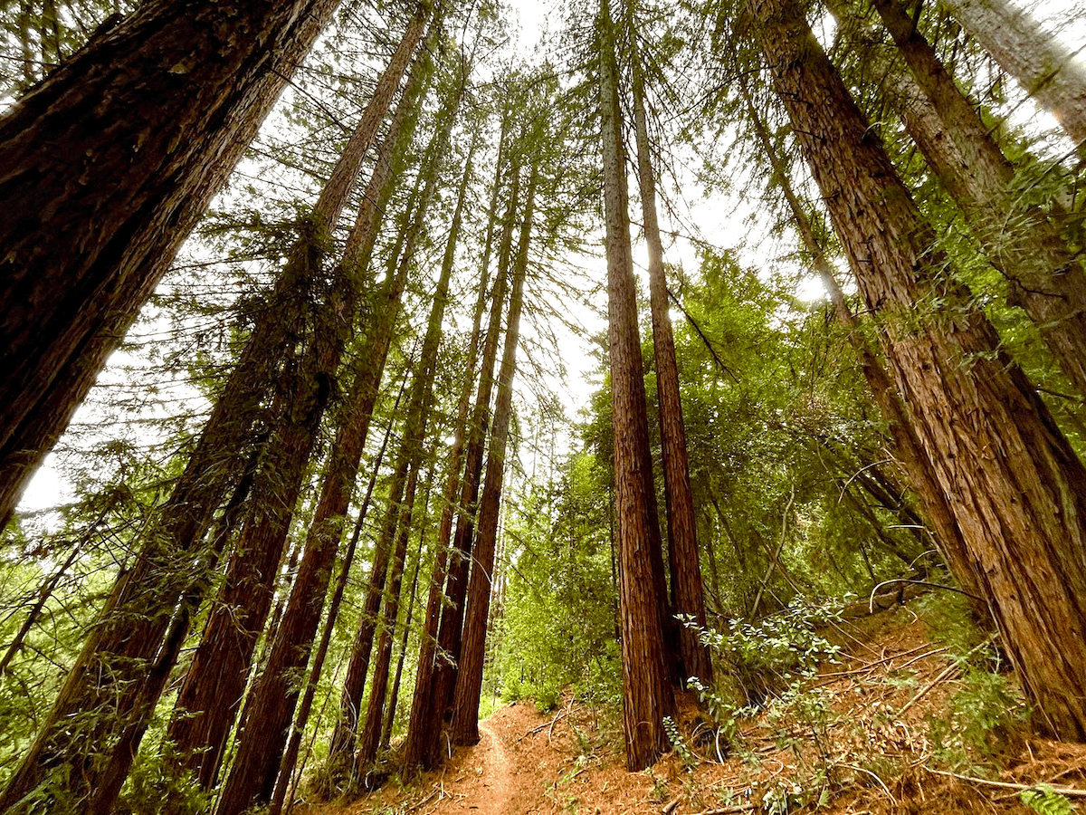 Glen Ellen Park Offers New Reason to Get Outside in Sonoma County This Fall