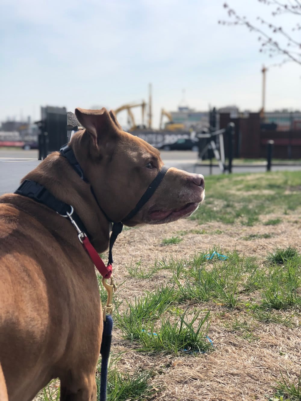 Construction Update On South Philly Casino