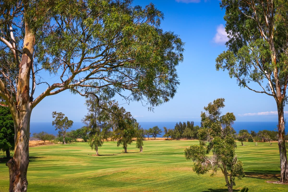 Waikoloa Villas ~ E201