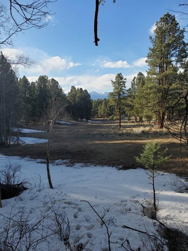 Lot 22 Mammoth Mountain Rd
