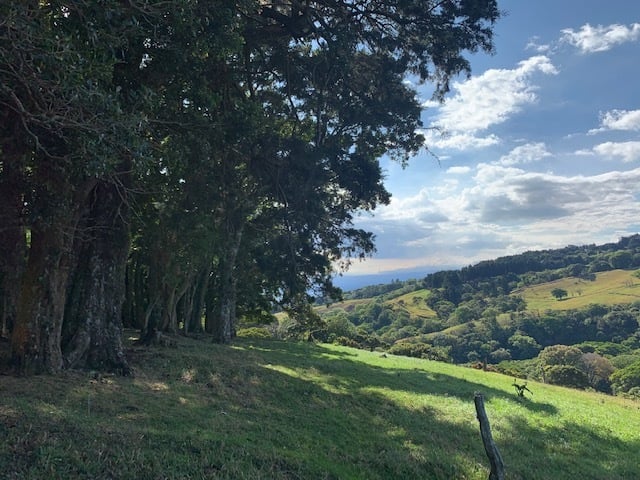 Vast Mountain Farm Acreage, Heredia