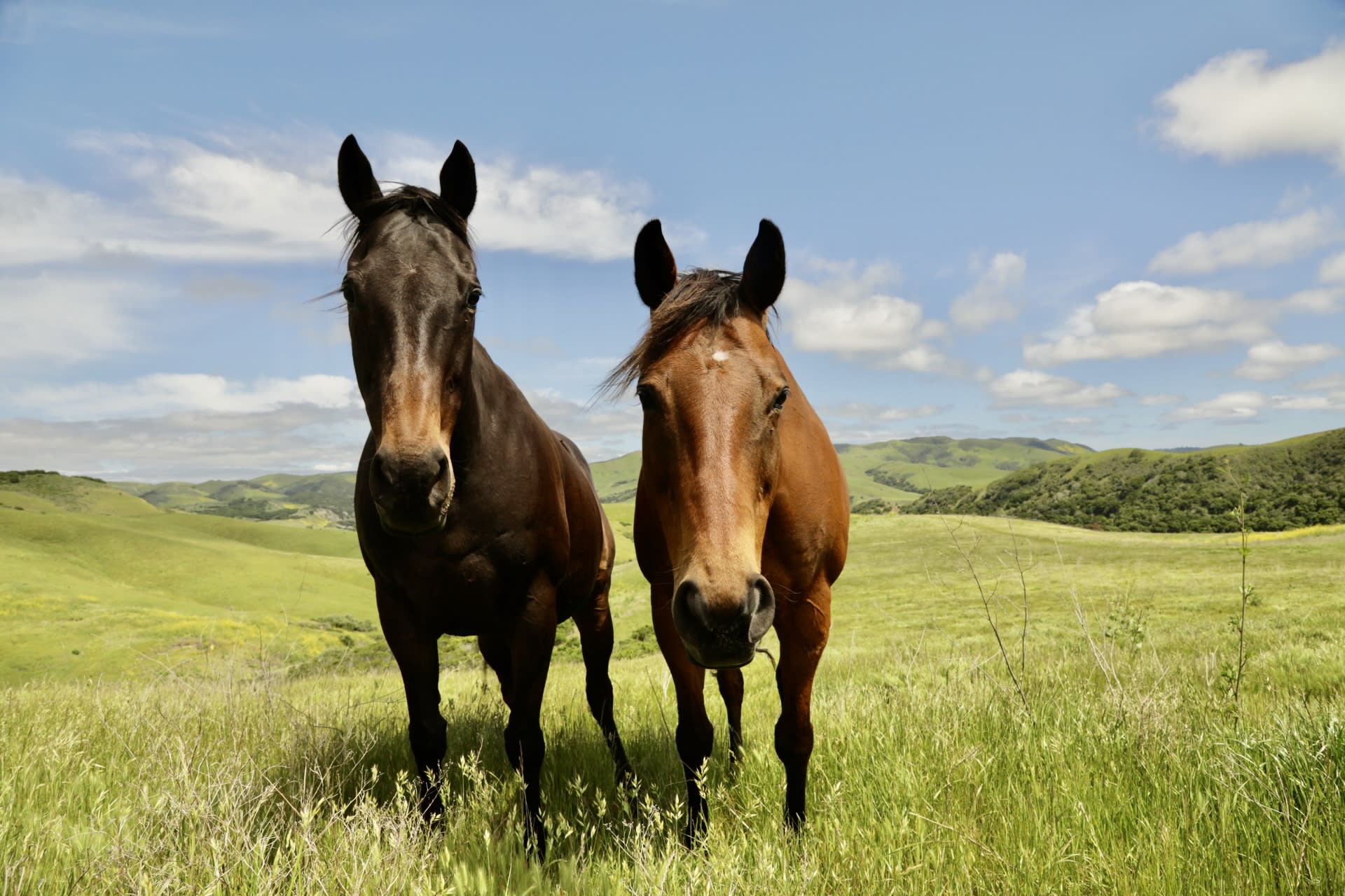 La Hoya Creek Ranch