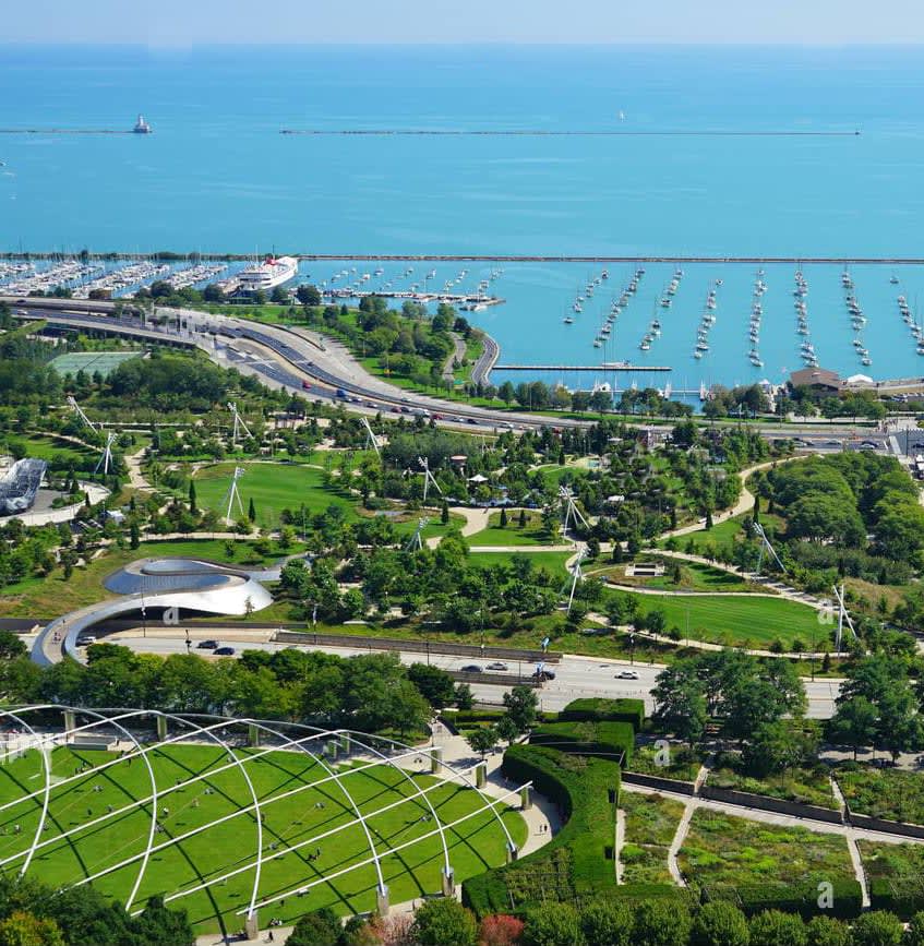 SEARCH ALL CHICAGO