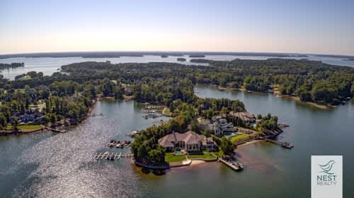 Nesty Zoom Backgrounds