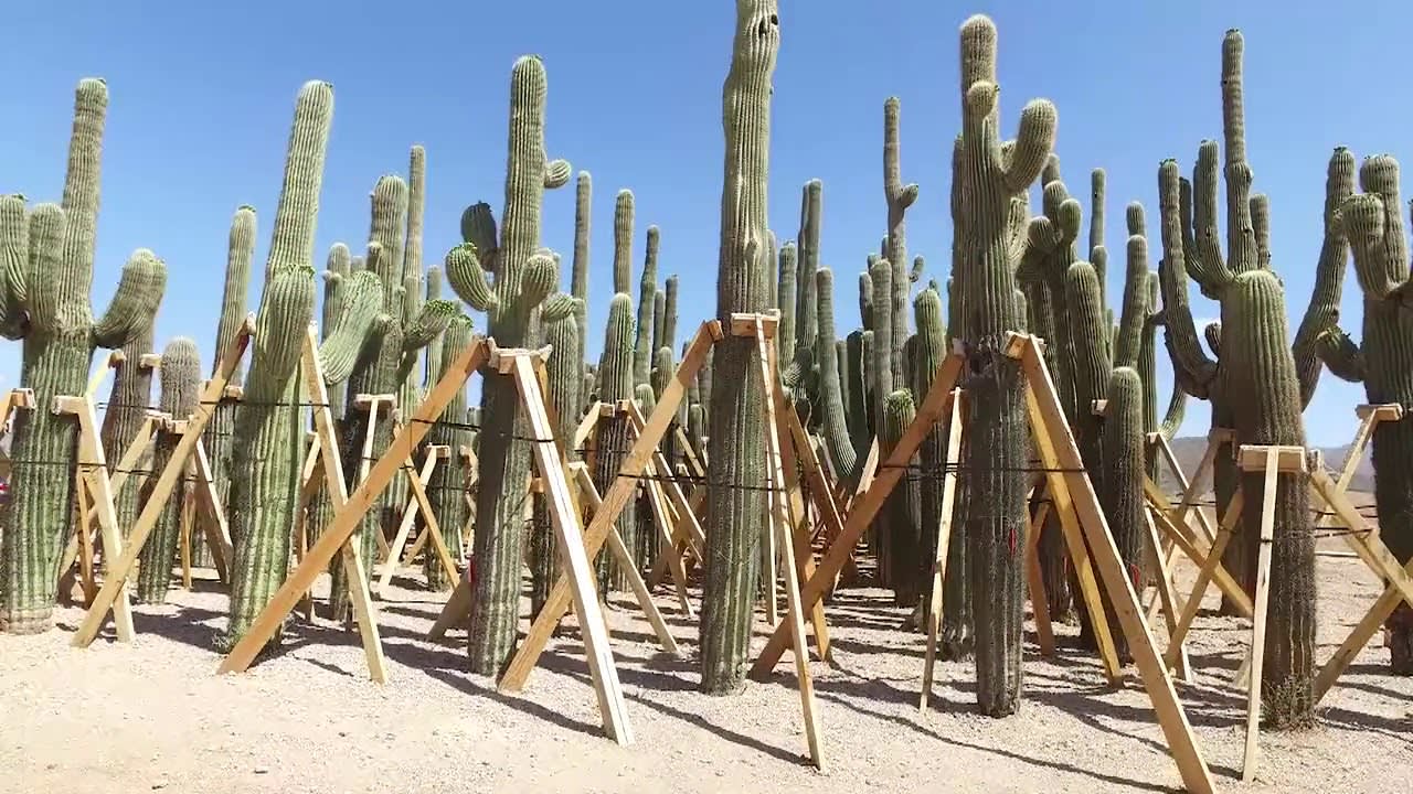 Building a New Par 3 Course at Desert Mountain Golf Club in Scottsdale, AZ.
