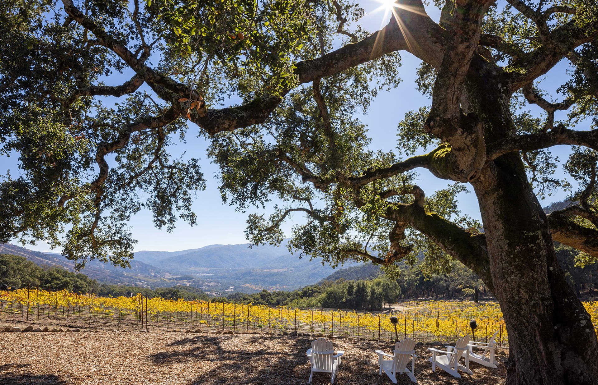 Wine Country Perfection - 17380 Cachagua Road