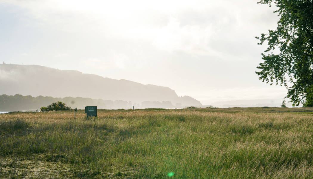 Is Your Land Buildable?
