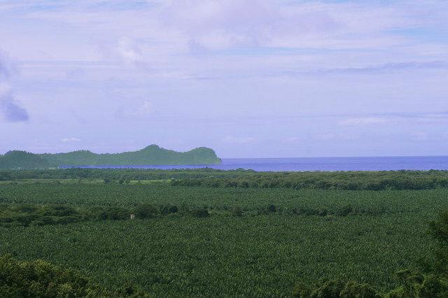 Vista Grande