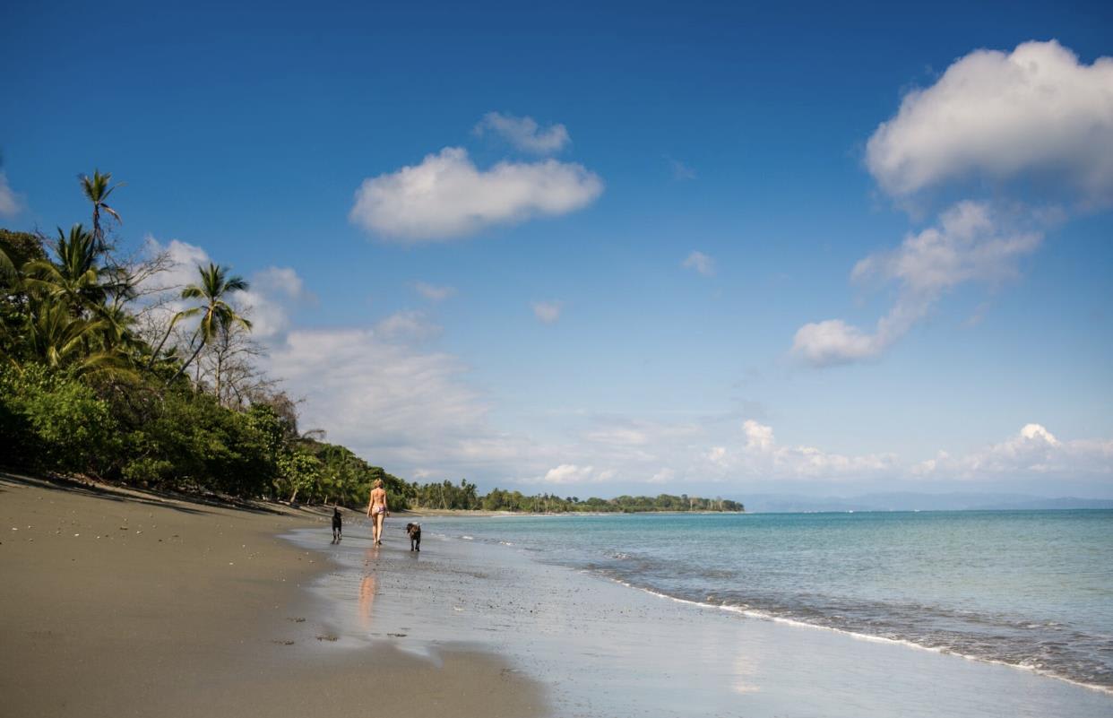 Osa, Blue Osa Yoga Retreat & Spa. On The Beach