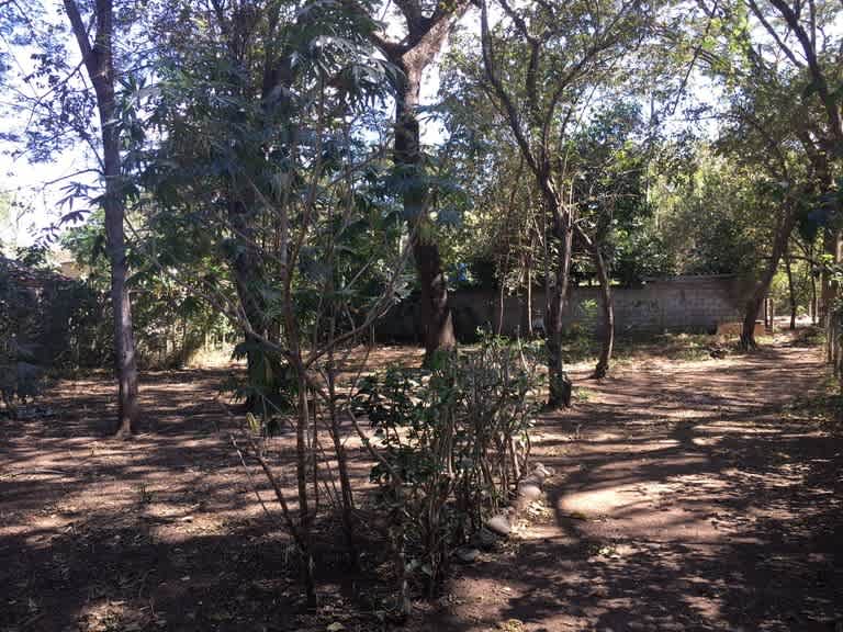 Lot K-24 | Surfside lot Near the Beach!