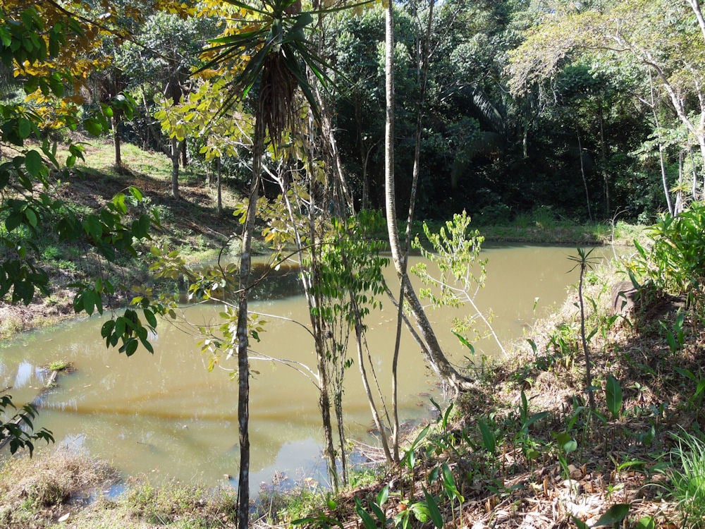 Coastal Development Acreage, Dominical, Puntarenas