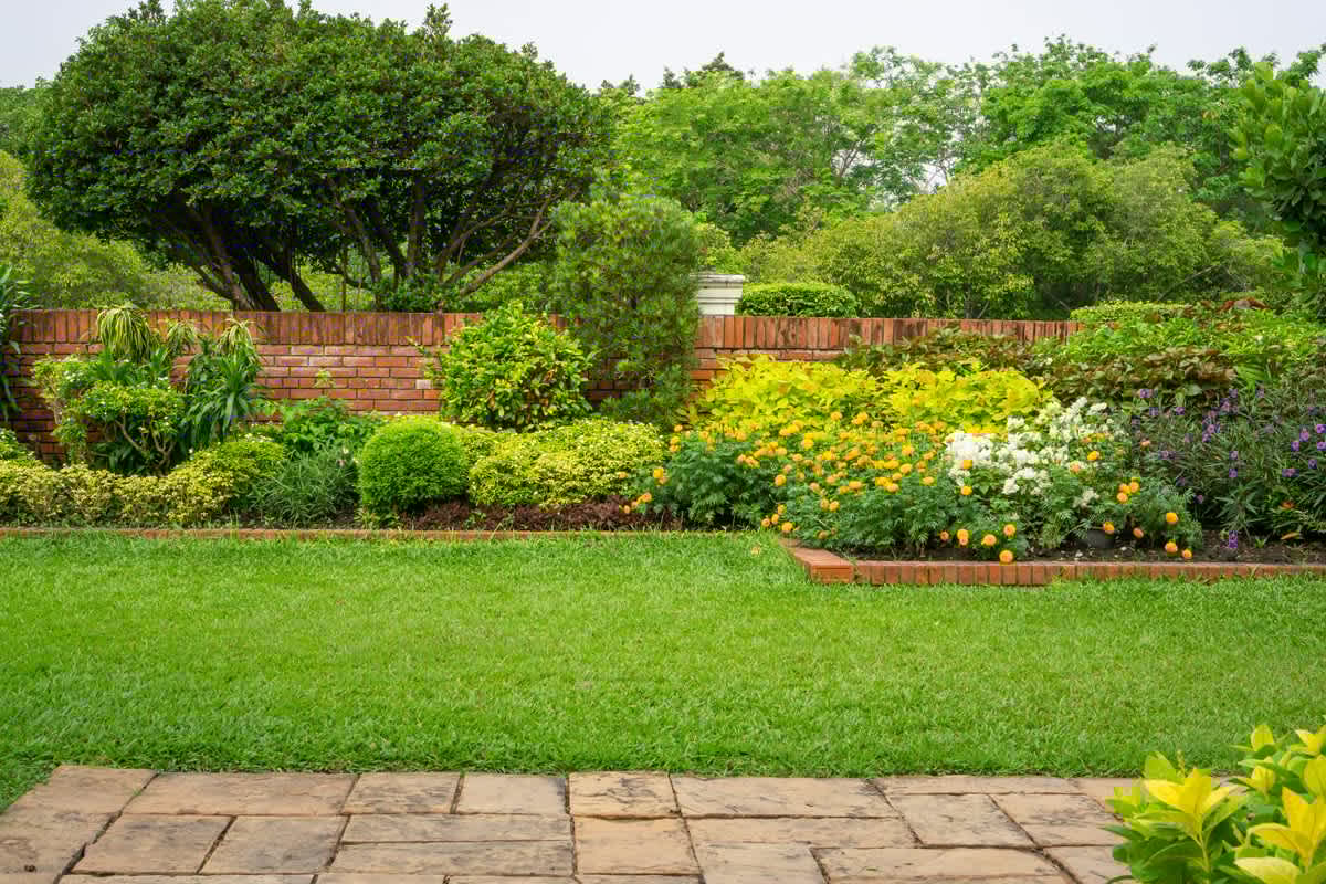 Ask A Nester: Planting Green Ideas