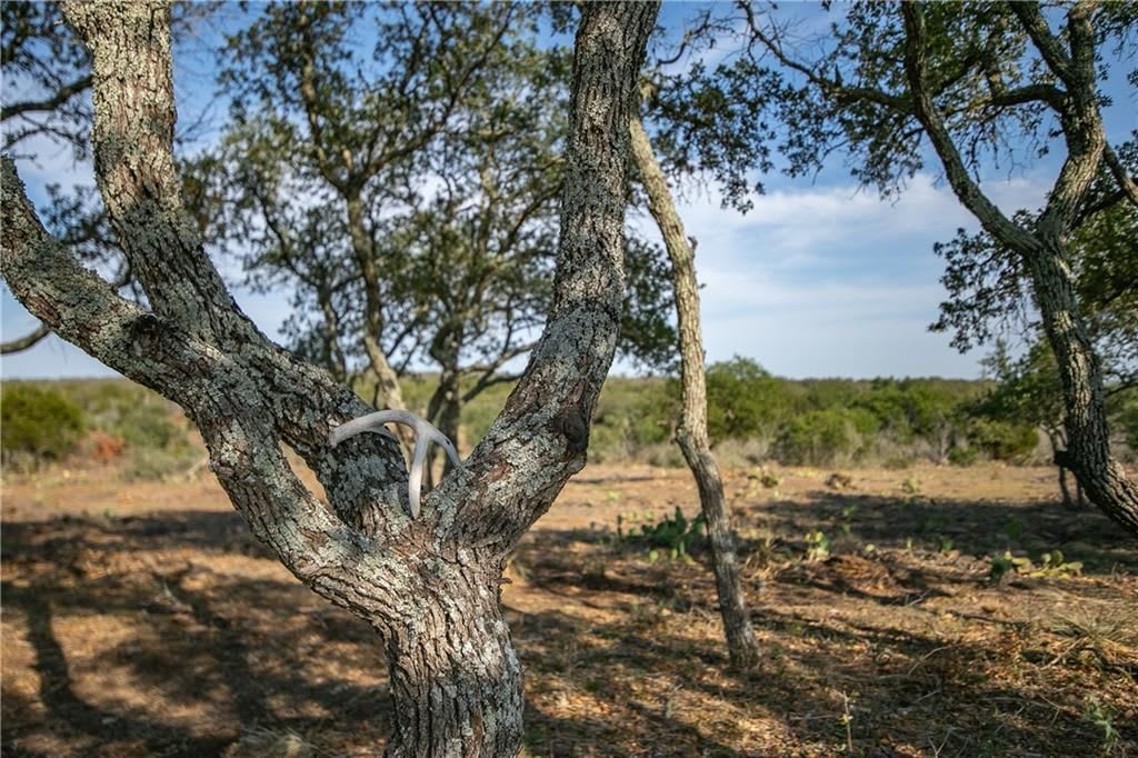 RANCH RD 1323 | 20.2 ACRES