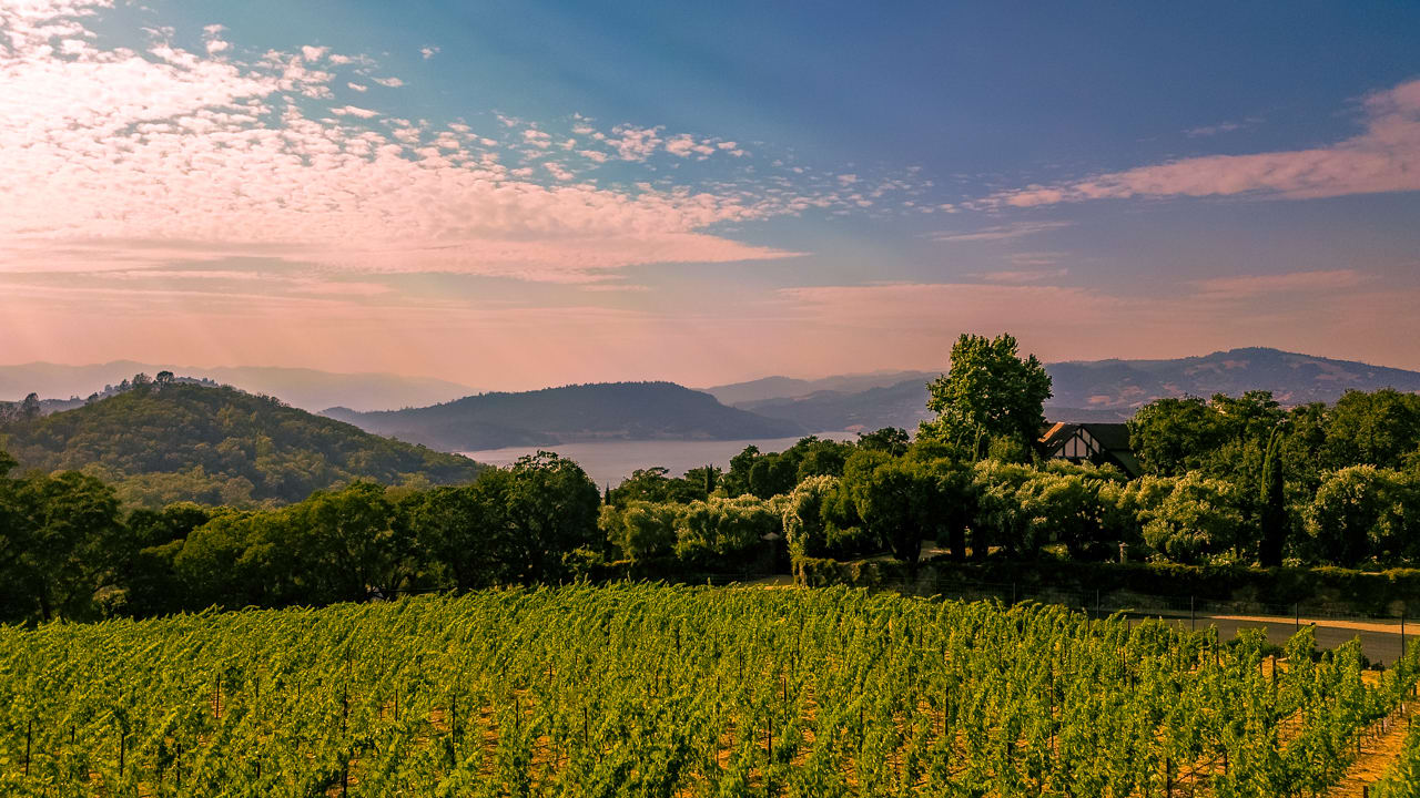 Napa Valley Compound