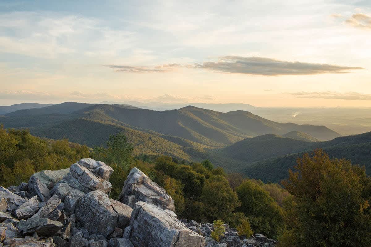 Local Love Fall/Winter 2019 – Part 3