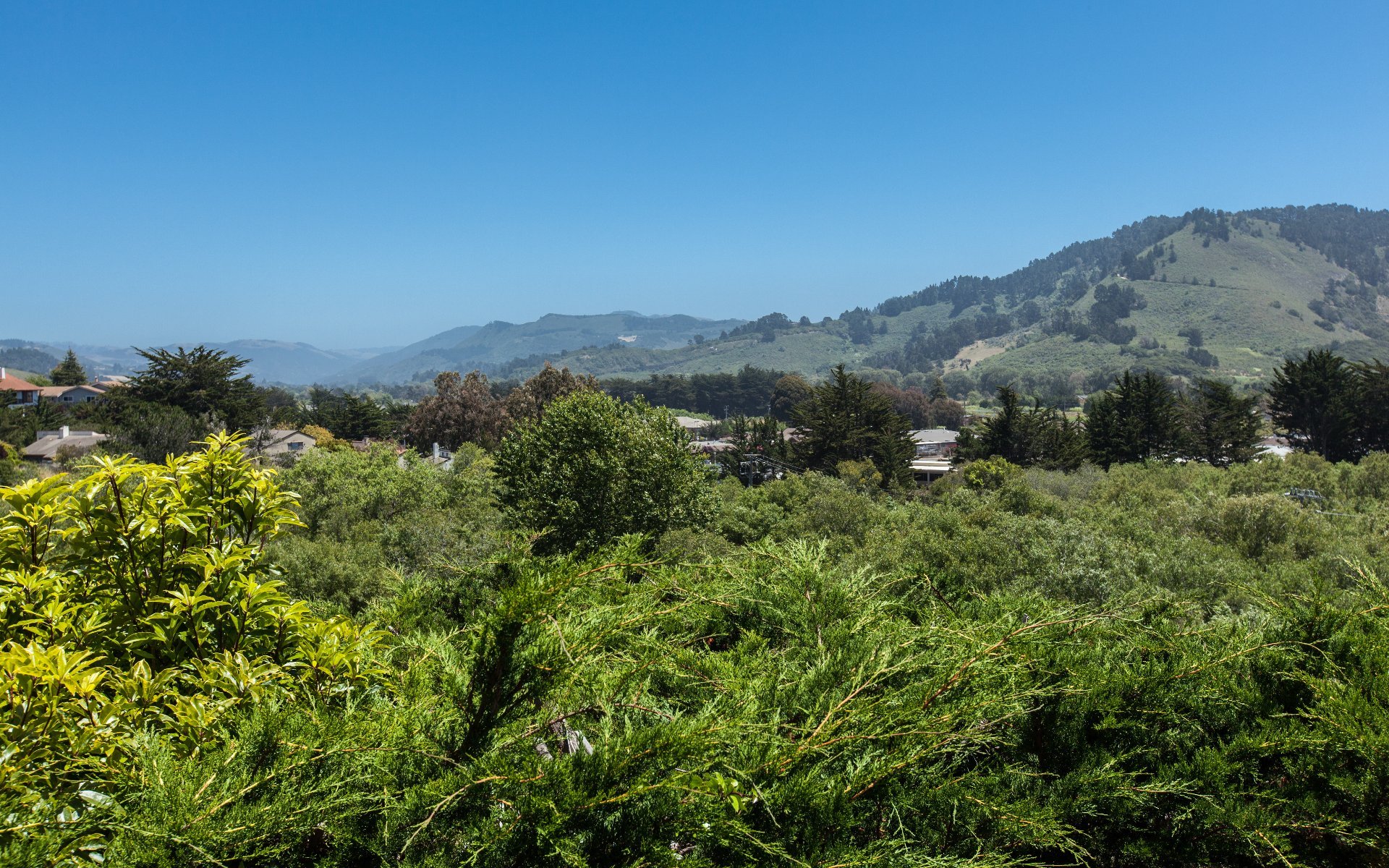 26145 South Carmel Hills Dr