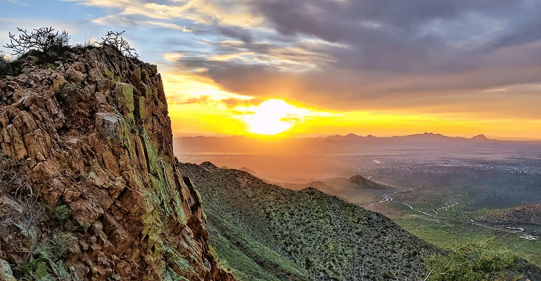 March 2025 Newsletter