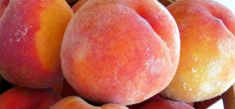 Northern Virginia Summer Bucket List: Graves Mountain Peach Festival