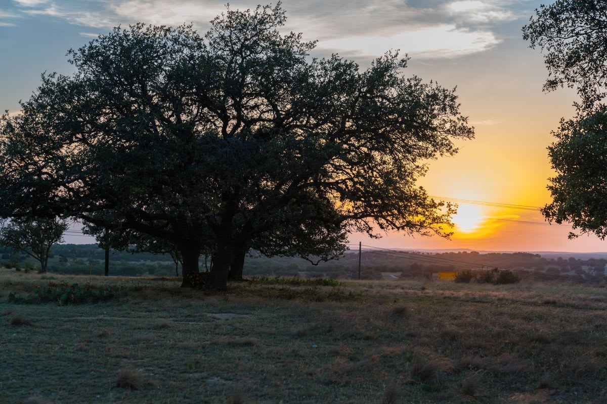 4501 US HWY 281 | 230.93 ACRES