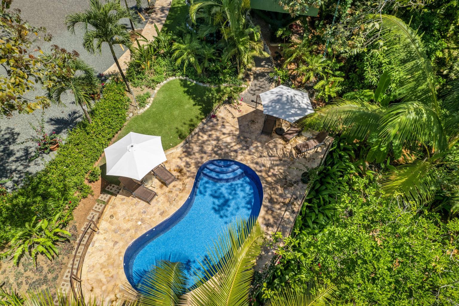 6 Beautiful Tree House Villas and Owners Home on Calle Toucan