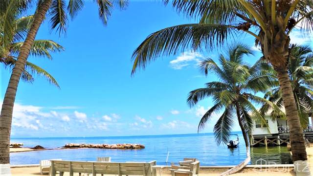 The Eagle Ray Reef House at Alaia Belize - A Marriott Autograph Collection®