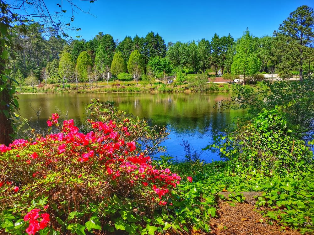 Loganville, Ga