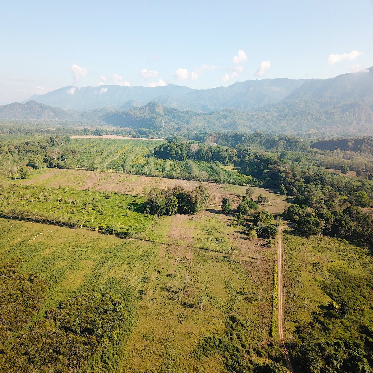 Flat Commercial Development Land, Dominical, Puntarenas