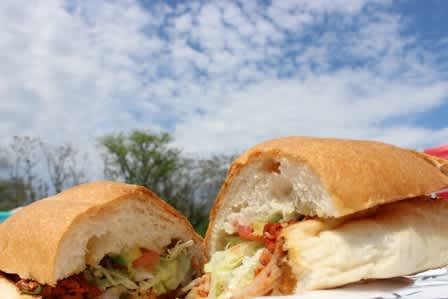 An Inside Look at Harrisonburg's Food Trucks: La Taurina Grill II