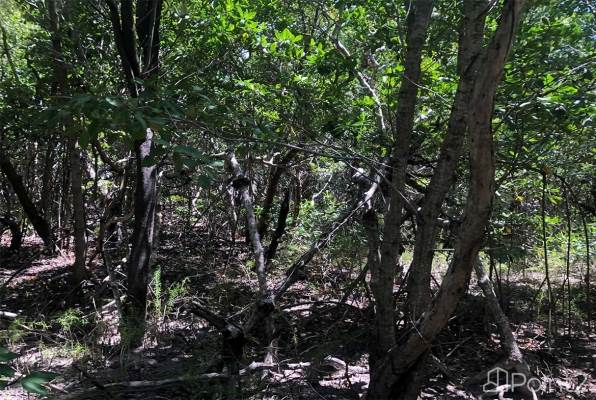 2-acre Slice of Island Paradise on North End of Cross Caye Belize
