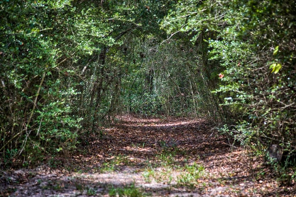 610 Post Oak Road Bellville, Tx 77418