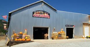 Our Top 10 Fall Festivals