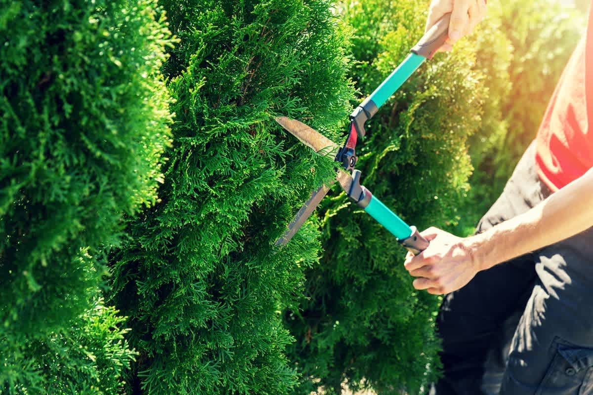 Home Maintenance Checklist