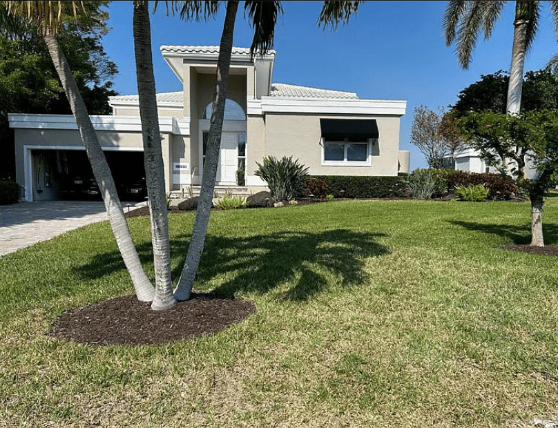 Buyers Find Unexpected Perfection