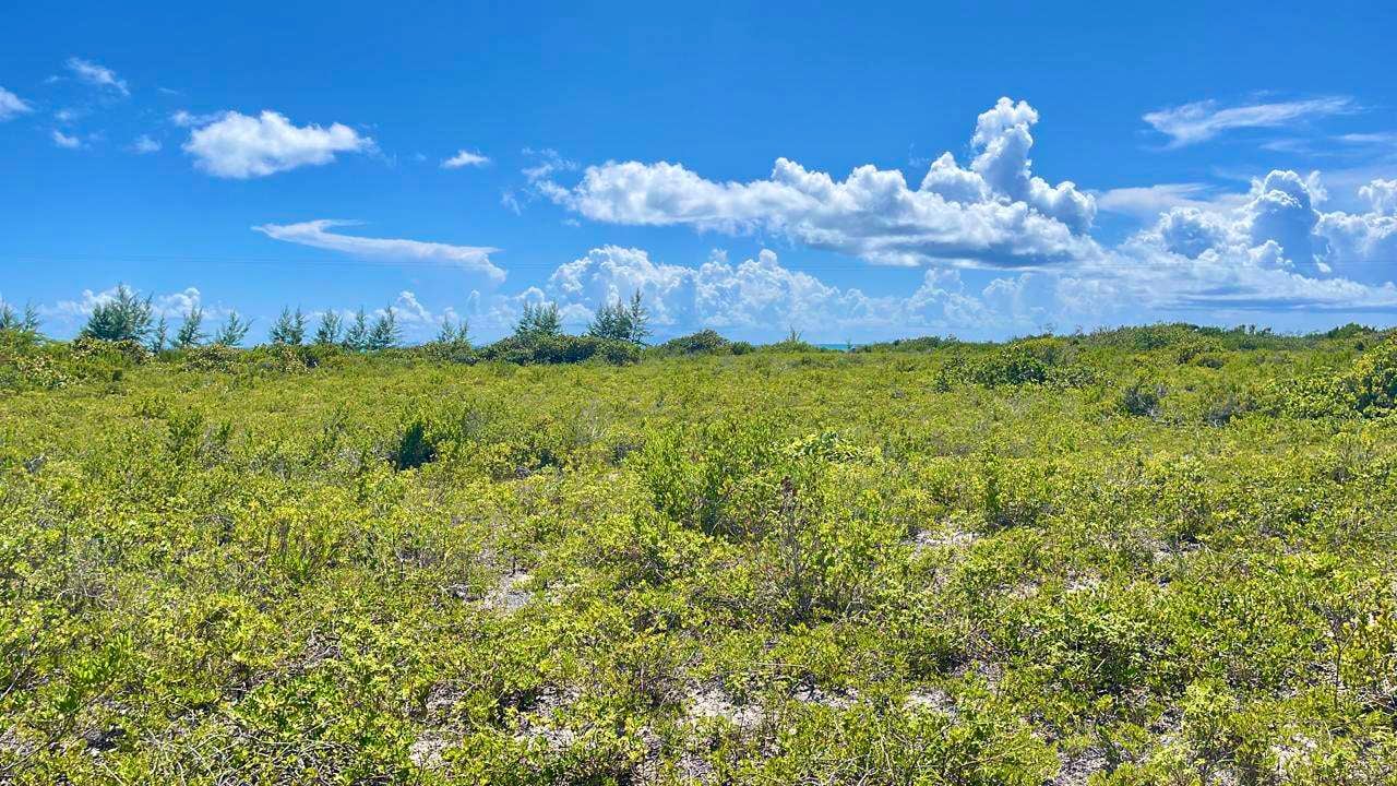 150 Anegada 0.517 Acres