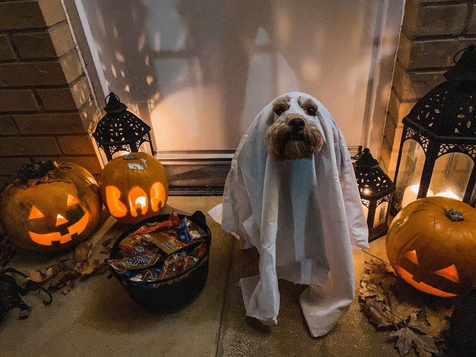5 HALLOWEEN SAFETY TIPS FOR HOMEOWNERS