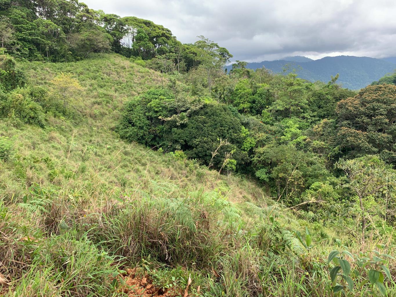 Prime 286-Acre Ocean View Property for Sale Near Quepos, Costa Rica – Ideal for Development