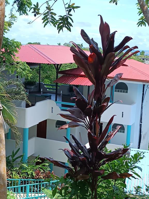 Iconic Ocean View Hotel In Manuel Antonio 